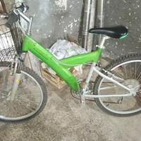 Bicicletta Mountain bike Pirinfarina