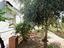Immagine 21