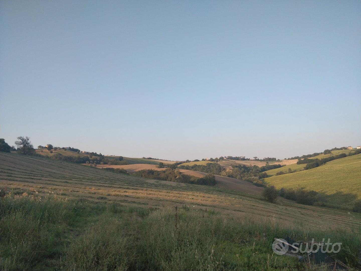 Rustico e 5 ettari di terreno - Vista 3