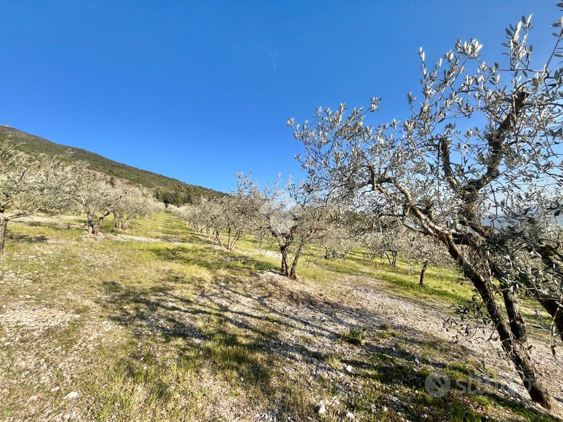 TER. AGRICOLO A ASSISI - Vista 4