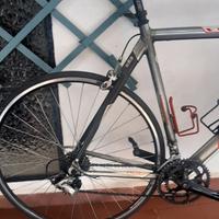 Bici da corsa Wilier