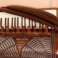 Fisarmonica 120 Bassi