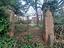 Immagine 8