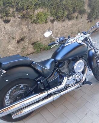 Yamaha XVS 1100 Drag Star 1100 – 2001 – Perfetta –