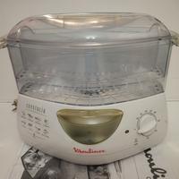Vaporiera Moulinex 