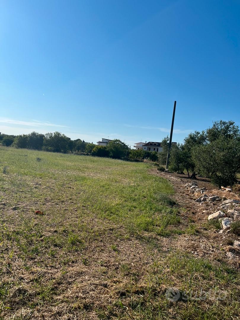 Terreno Bitonto stazione - Vista 5