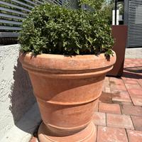 Vaso  originale in terracotta