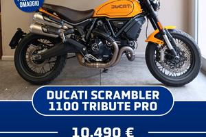 Ducati Scrambler 1100 TRIBUTE PRO