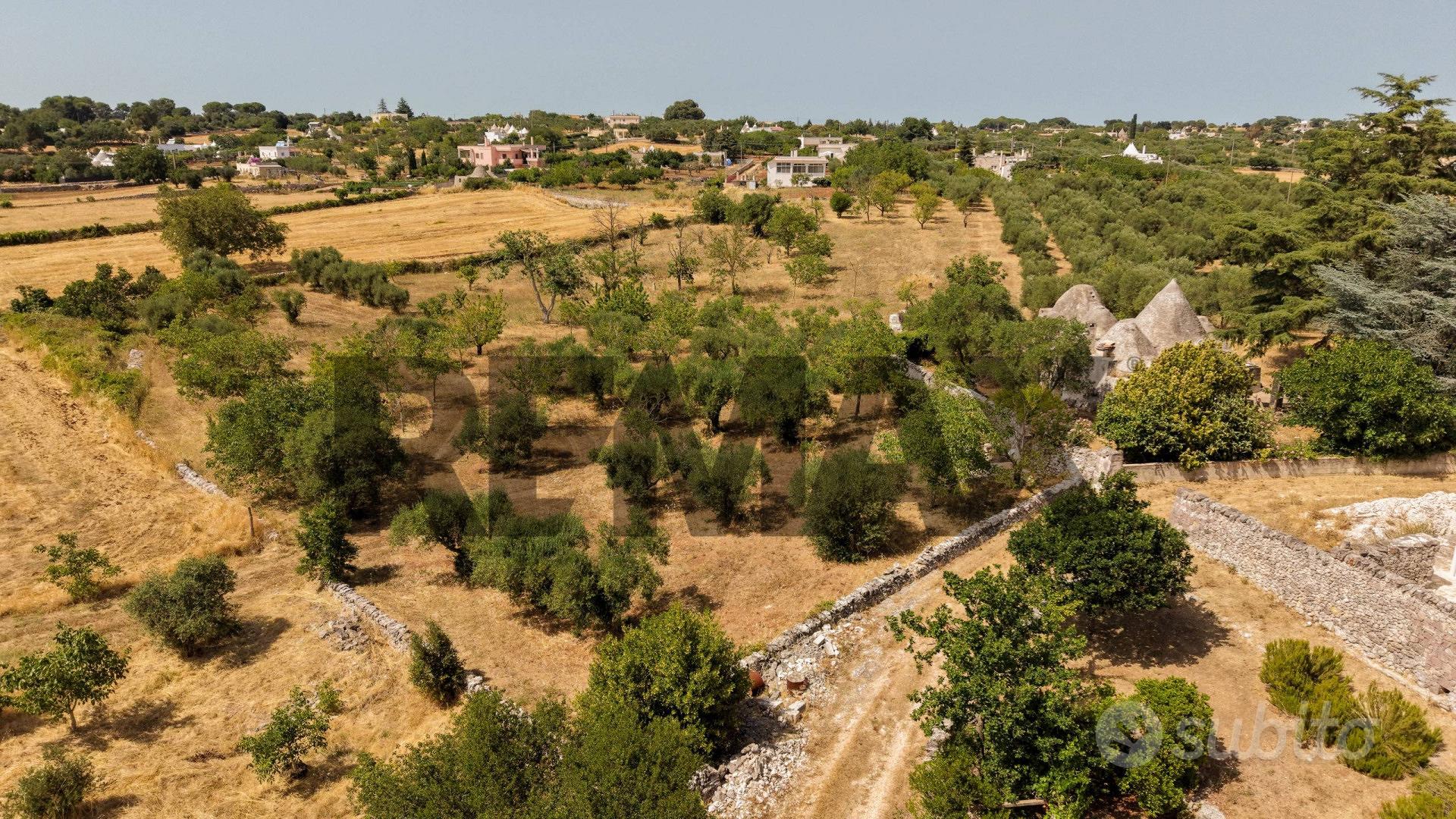 Terreno Edificabile - Martina Franca - Vista 4