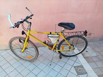 Mountain bike 
