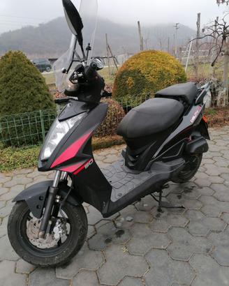 motorino cinquantino