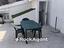 Immagine 9