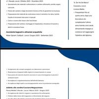 Addetto a mansioni varie