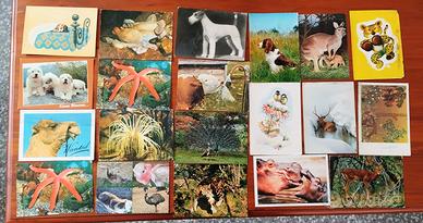 Cartoline animali 