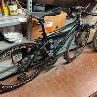 bianchi specialissima 