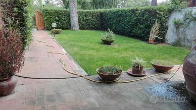 Con giardino privato e terrazzo