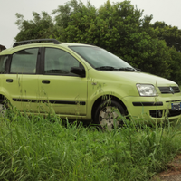 Panda con furgoncino cassonato