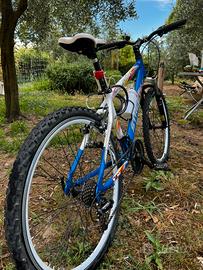 Bicicletta