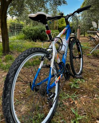 Bicicletta