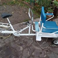 Cargo bike ARTIGIANALE