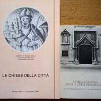 CHIESE DELLA CITTA’ + CIVICA GALLERIA PARMEGGIANI