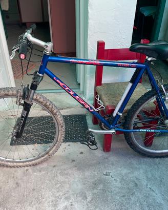 Biciletta mountain bike