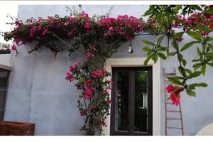 Loft da settembre 2026 a maggio 2027