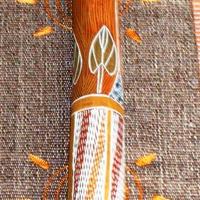 Didgeridoo TRADIZIONALE scavato dalle termiti