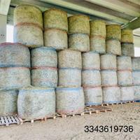 Fieno foraggio primo e secondo taglio di collina