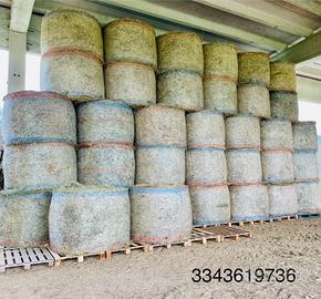 Fieno foraggio primo e secondo taglio di collina