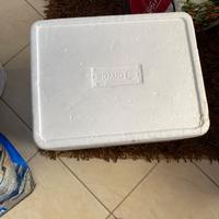 Scatola in polistirolo dry ice cm 43x33 h  27