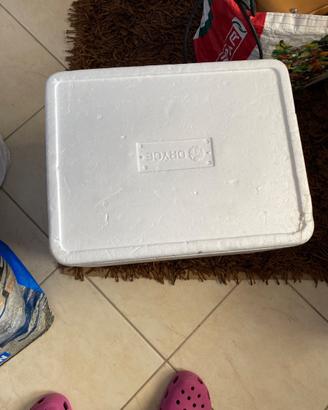 Scatola in polistirolo dry ice cm 43x33 h  27