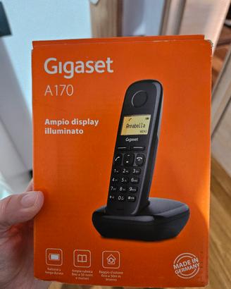 telefono fisso