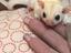 Immagine 1