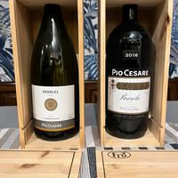 Magnum barolo e pio di lei Pio Cesare