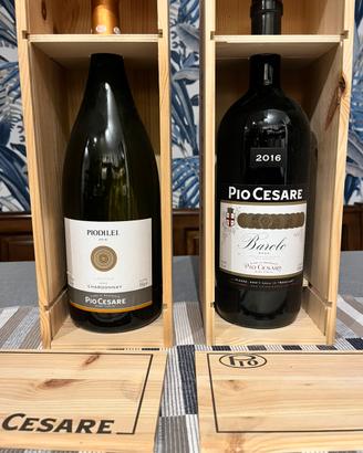 Magnum barolo e pio di lei Pio Cesare