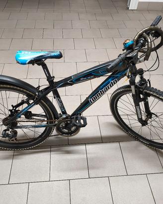 Mountain bike 
