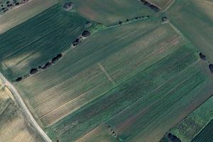 Vigneto comune serdiana 9300mq