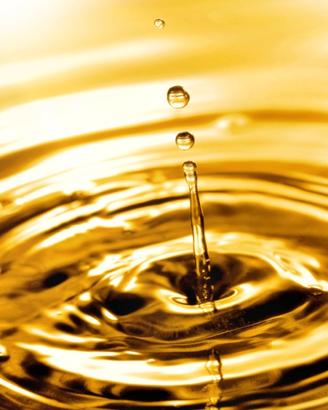 gasolio