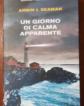 UN GIORNO DI CALMA APPARENTE  di ArwinJ. Seaman