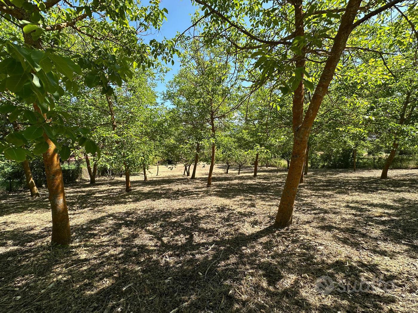Terreno Residenziale Caporciano [GRE743VRG] - Vista 2