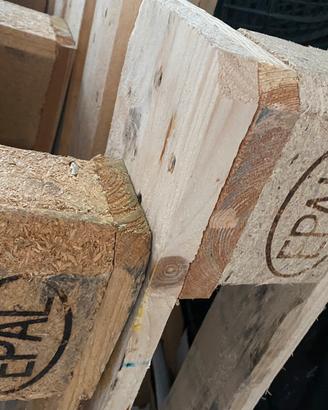 Pedana epal