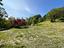 Immagine 23