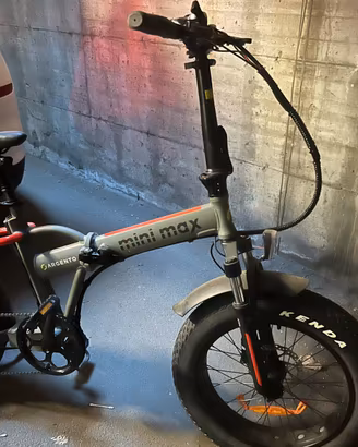 Bicicletta elettrica