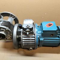 Motoriduttore con variatore trifase