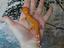 Immagine 3