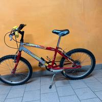 Bicicletta mountainbike  Lombardo (con cambio)