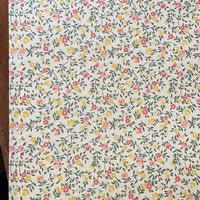 50 fogli carta di varese 50 x 70