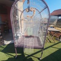 Pappagalliera pratica e decorativa 80x61x156,5 cm