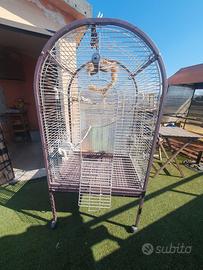 Pappagalliera pratica e decorativa 80x61x156,5 cm